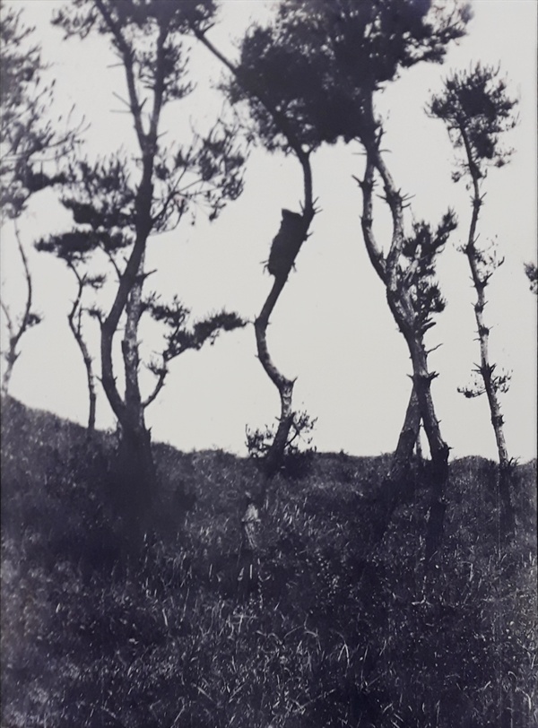 수상장 모습.jpg